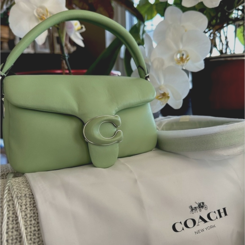 Coach Pillow Tabby 18